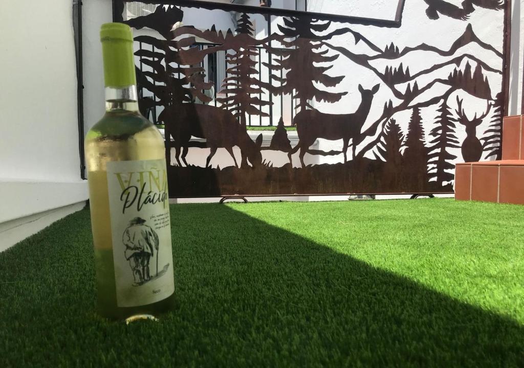 普拉多德尔雷Casa Rural Relax & Nature的画前草上坐着一瓶葡萄酒