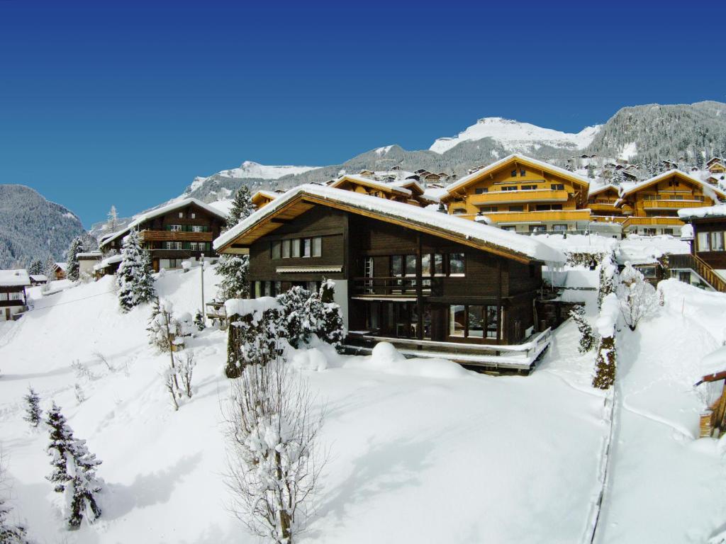 格林德尔瓦尔德Chalet Adele的山间雪地小屋