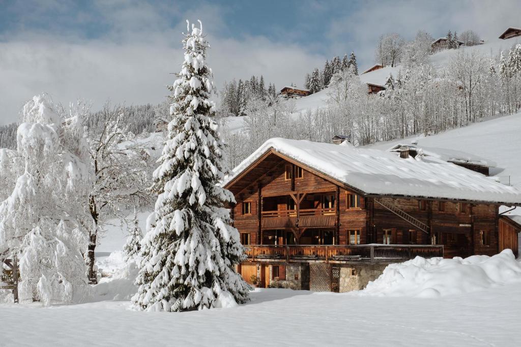 拉克吕萨La Ferme du Var的雪地中的小木屋,有圣诞树
