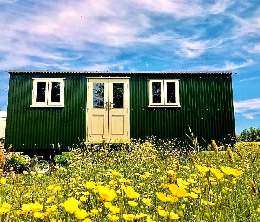 TodberBathsheba, Luxurious Shepherds Hut set in Todber a hamlet set in Thomas Hardy's iconic rural Dorset的花田里绿色的小房子