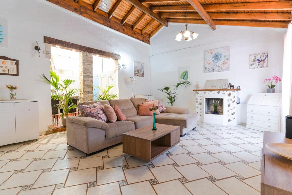 阿罗纳Villa Neon Tenerife的带沙发和壁炉的客厅