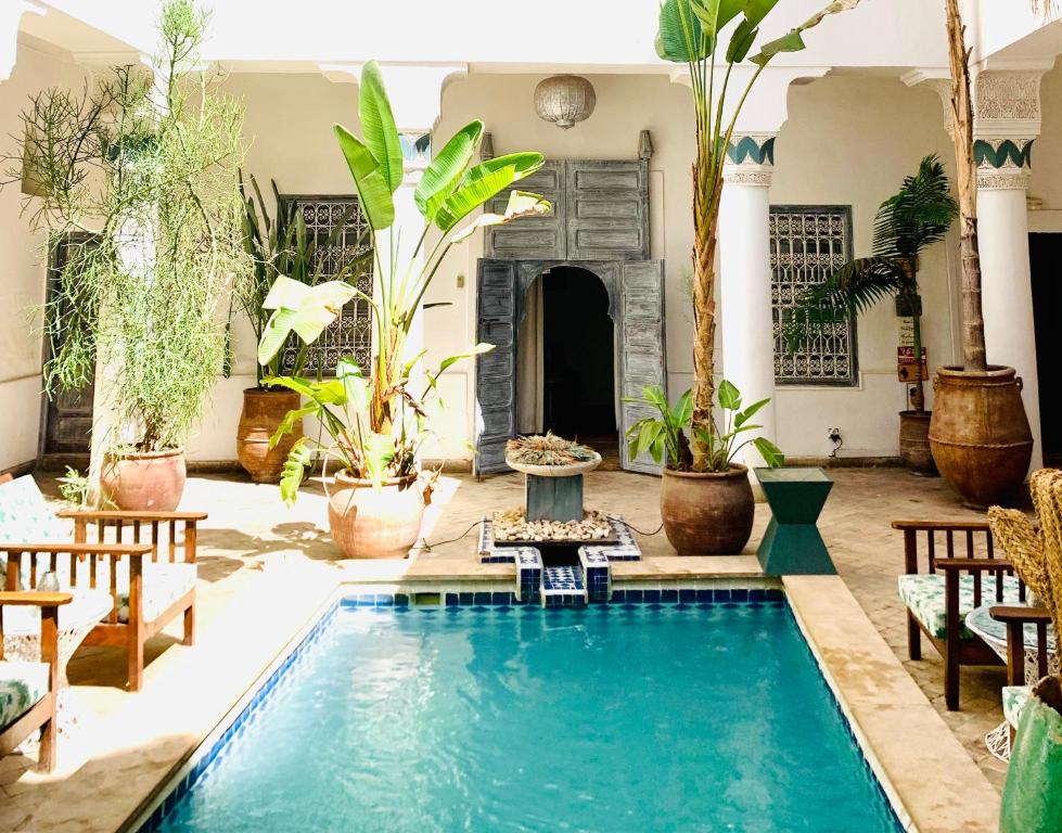 马拉喀什达芬奇Spa庭院旅馆的植物庭院中的游泳池