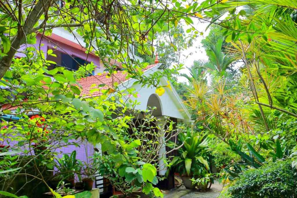 阿勒皮Bella Homestay Kerala的花园中鸟屋