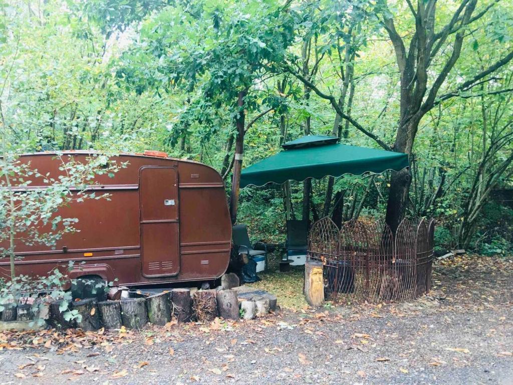 坎特伯雷little vintage caravan with cosy log burner的停在绿色伞下的老路