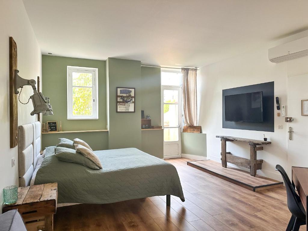 卡尔卡松Chambres d'hotes - Le Magnolia的一间卧室配有一张床和一台平面电视