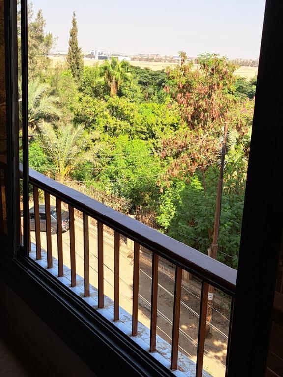 开罗Panorama apartment with a charming view of Cairo International Airport All the apt for you with free airport pick up or drop off limousine شقة بانوراما بإطلالة ساحرة على مطار القاهرة الدولي的享有森林美景的阳台