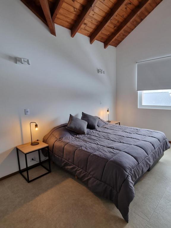 卡薇亚惠Villa Maihue departamentos de montaña - Caviahue的一间卧室配有一张大床和一张桌子