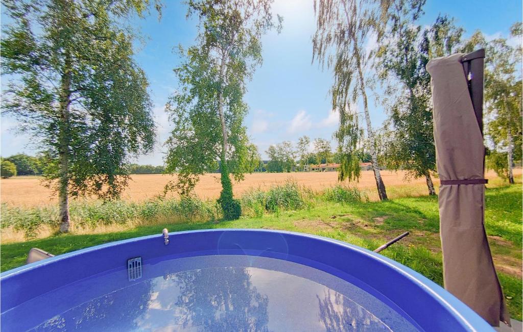 伦布鲁Stunning Home In Lembruch-dmmer See With Sauna的享有田野和树木景致的游泳池