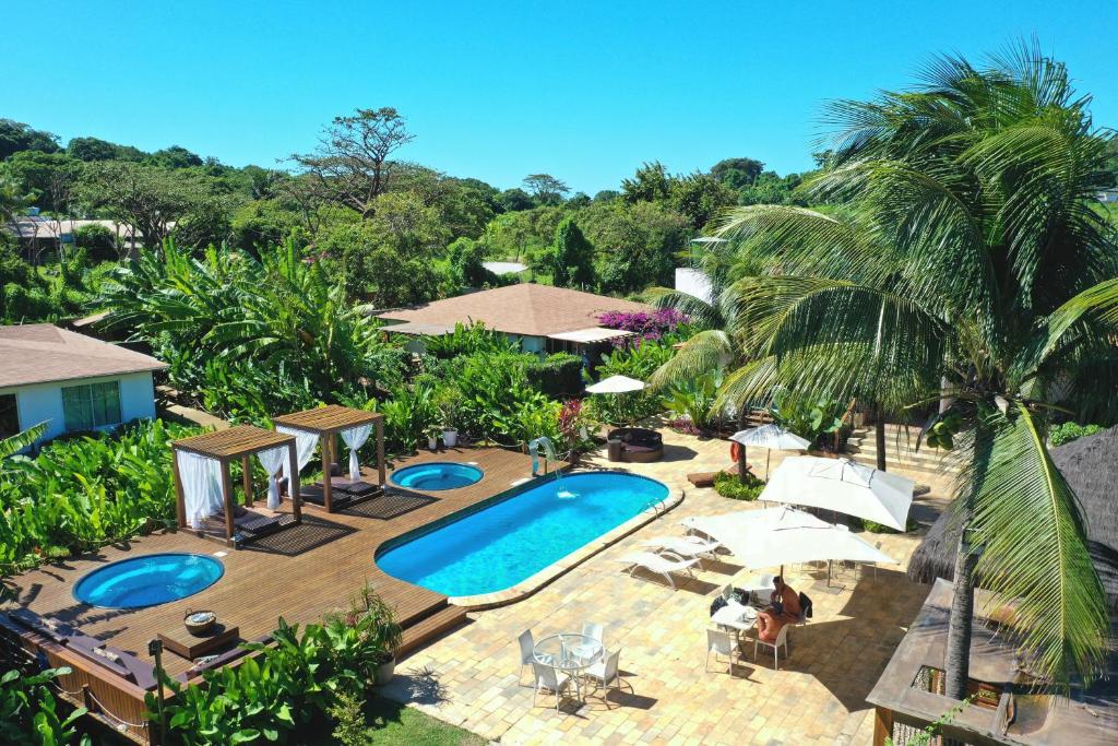 费尔南多 - 迪诺罗尼亚海豚酒店的棕榈树游泳池的空中景致