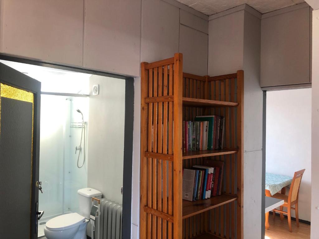 达尔沃沃Bema 3 Darłowo的浴室设有位于卫生间旁的书架