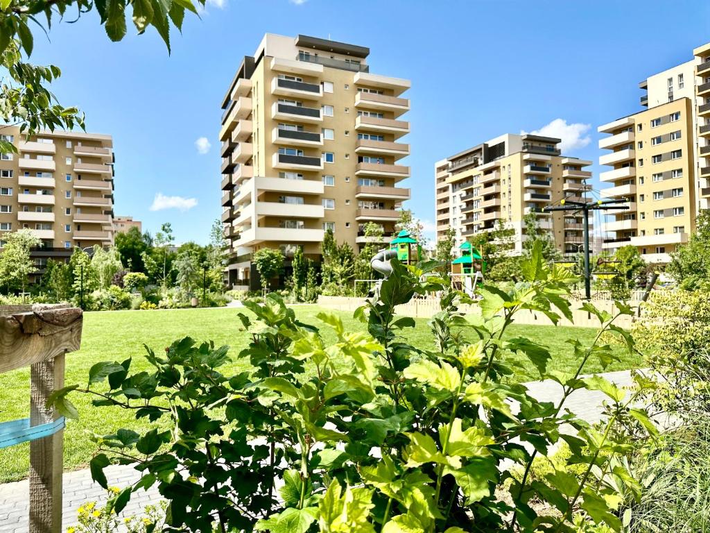布拉索夫Urban Plaza Astra - Rise Private Apartments & Suites的一座绿色公园,有高大的建筑背景