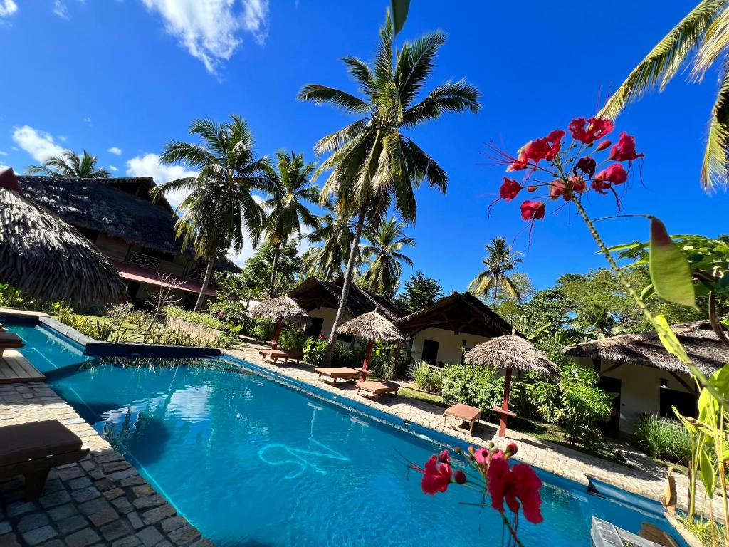 AmbaroNatShi Lodge的享有度假村游泳池的景致。