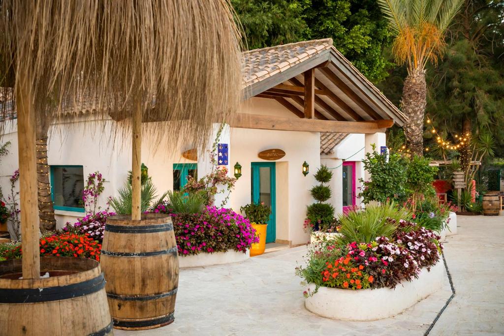 塔里法Dunas Luxury Beach Resort Tarifa的前面有花草的房子