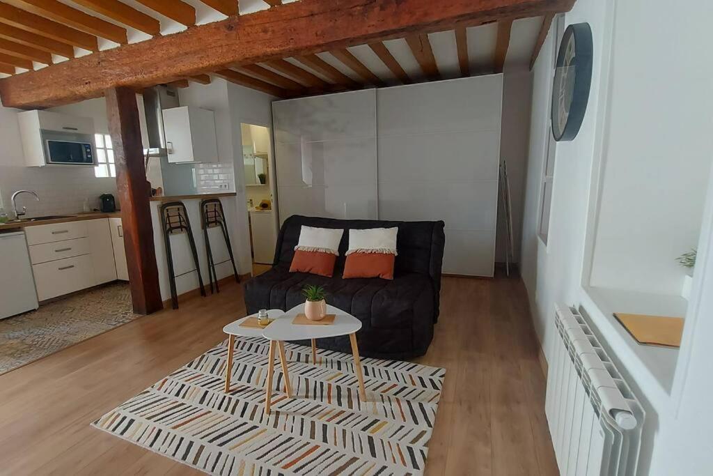瓦兹河畔欧韦Appartement cosy au coeur d'Auvers-Sur-Oise的客厅配有沙发和桌子