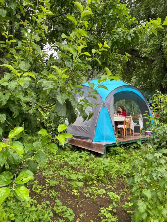 SanainTereza glamping的森林中带桌椅的帐篷