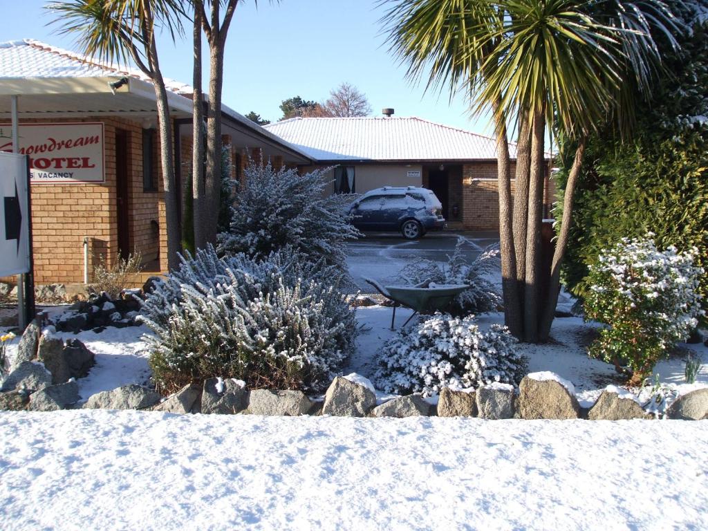 贝瑞黛尔雪梦汽车旅馆的一座棕榈树的雪覆盖的院子和一座建筑