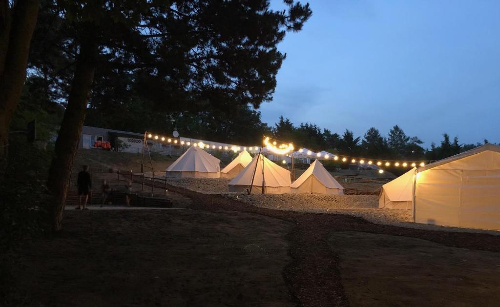 波伊兹Anastazewo Port and Resort的一排带灯的白色帐篷