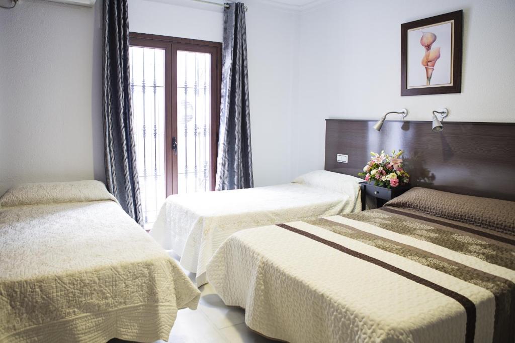 科尔多瓦卡萨洛斯法罗赖斯旅馆的酒店客房设有两张床和窗户。