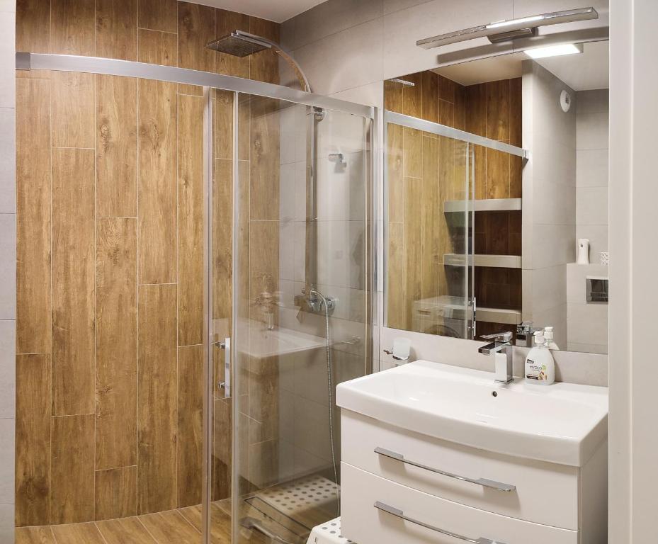 克拉科夫Apartment Szwed-Sniadowskiej Residence的一间带玻璃淋浴和水槽的浴室