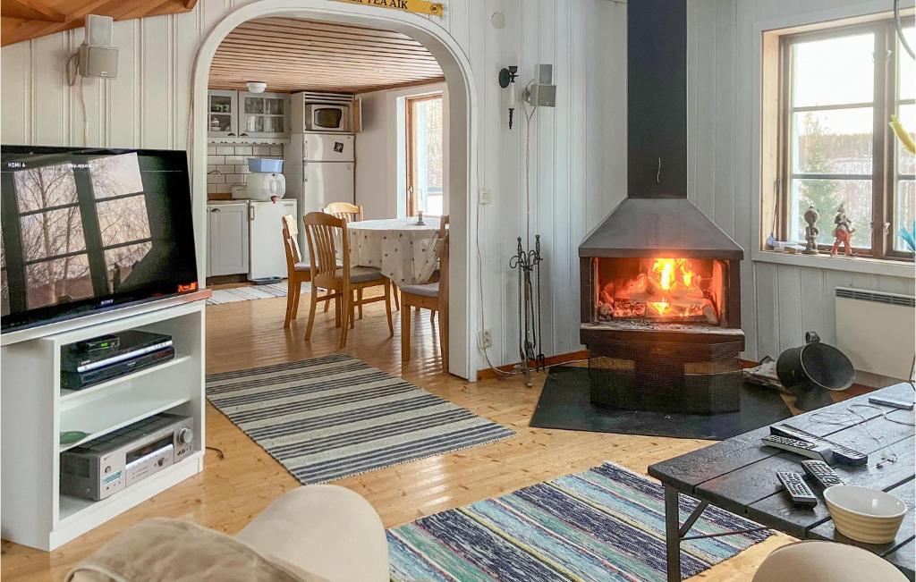 谢莱夫特奥Lovely Home In Skellefte With Kitchen的客厅设有壁炉和电视。