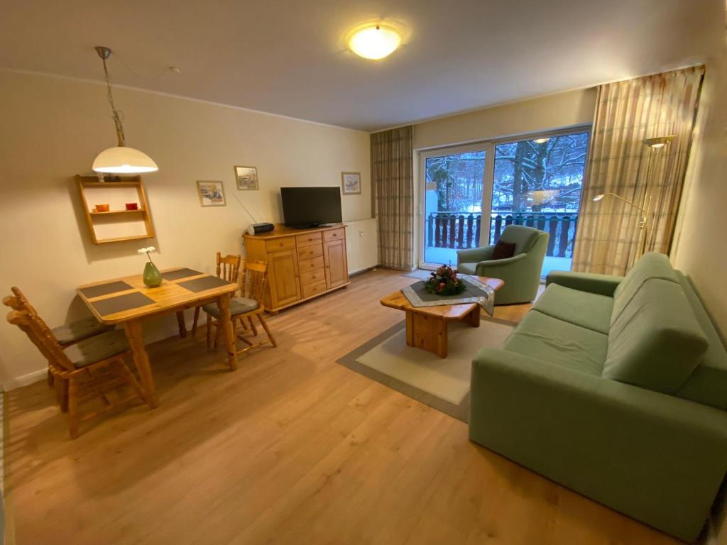 布劳恩拉格Ferienresidenz an der Bode, Wohnung 1的客厅配有绿色沙发和桌子