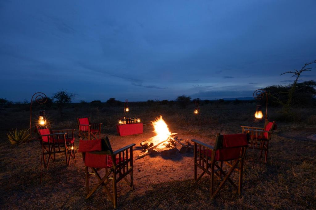 塞伦盖蒂Africa Safari Serengeti Ikoma Camping的一群椅子在晚上围着火堆