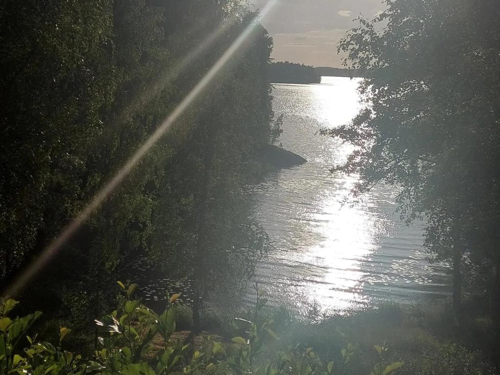 PirkkalaLakeside Villa Lehtiniemi的一条阳光照耀水面的河流