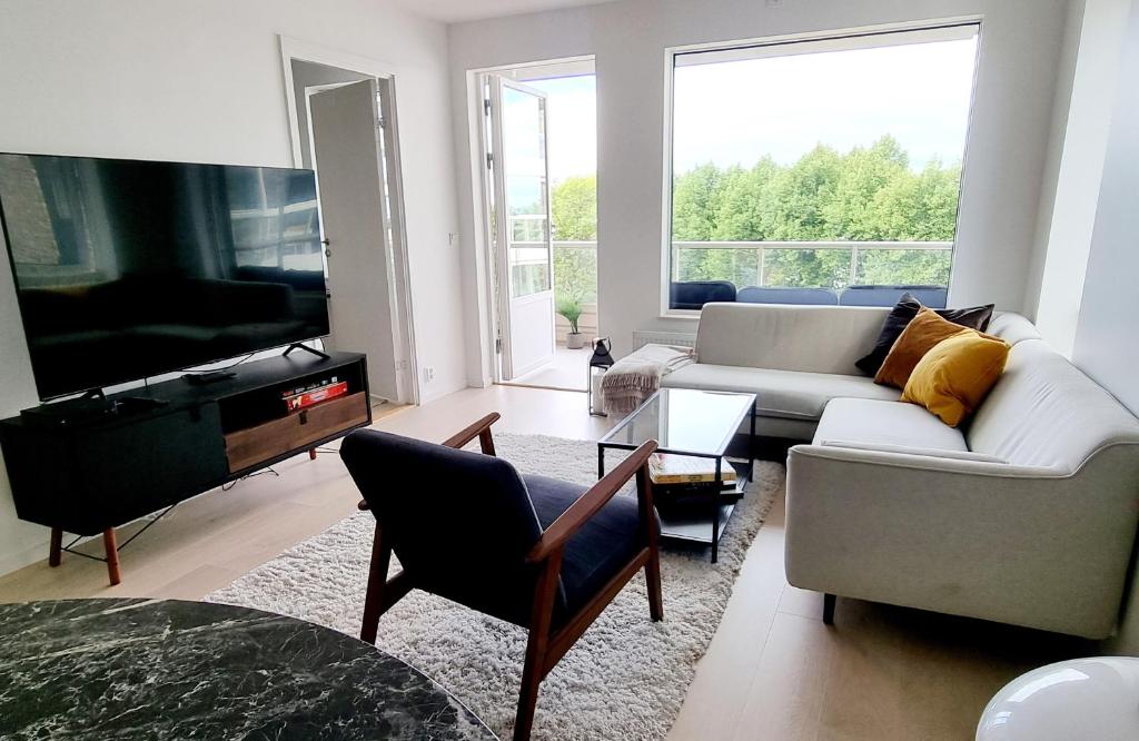 奥斯陆Private room in shared Modern Apartment - Oslo Hideaway的带沙发和电视的客厅