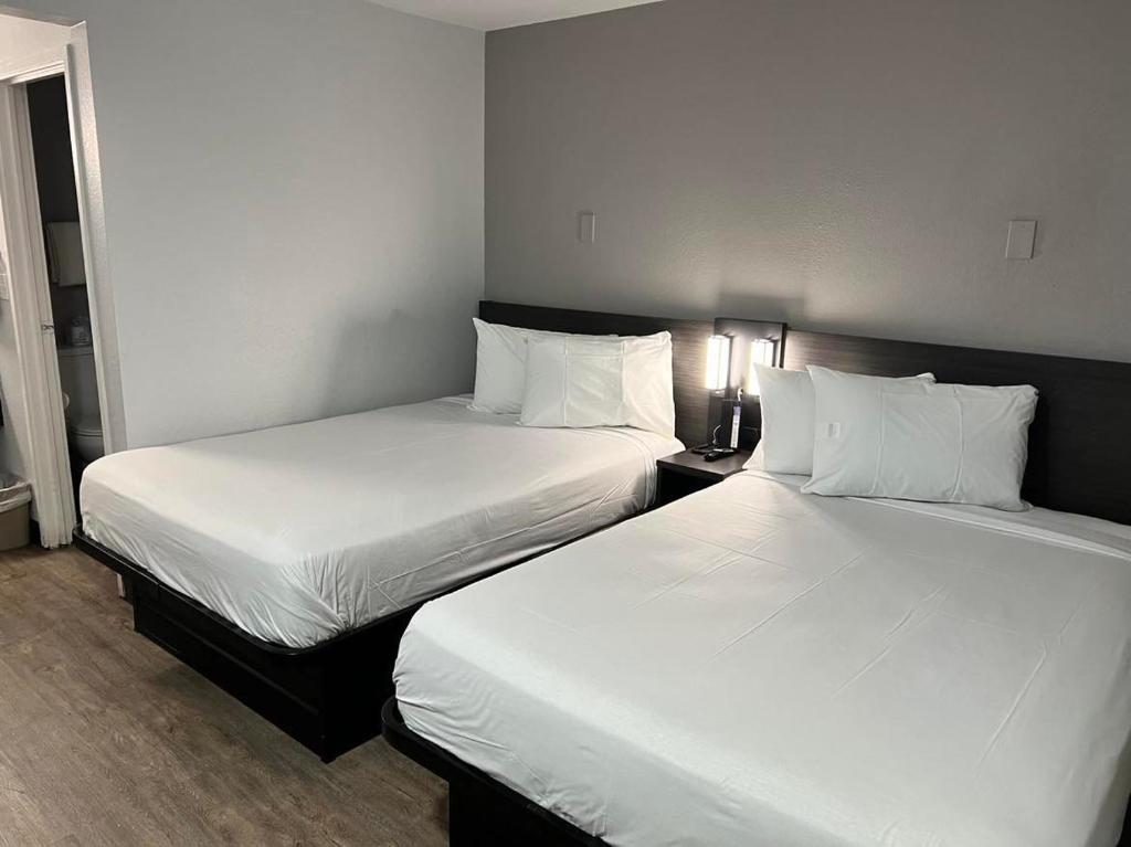莱克兰莱克兰 - 6号汽车旅馆的配有白色床单的酒店客房内的两张床