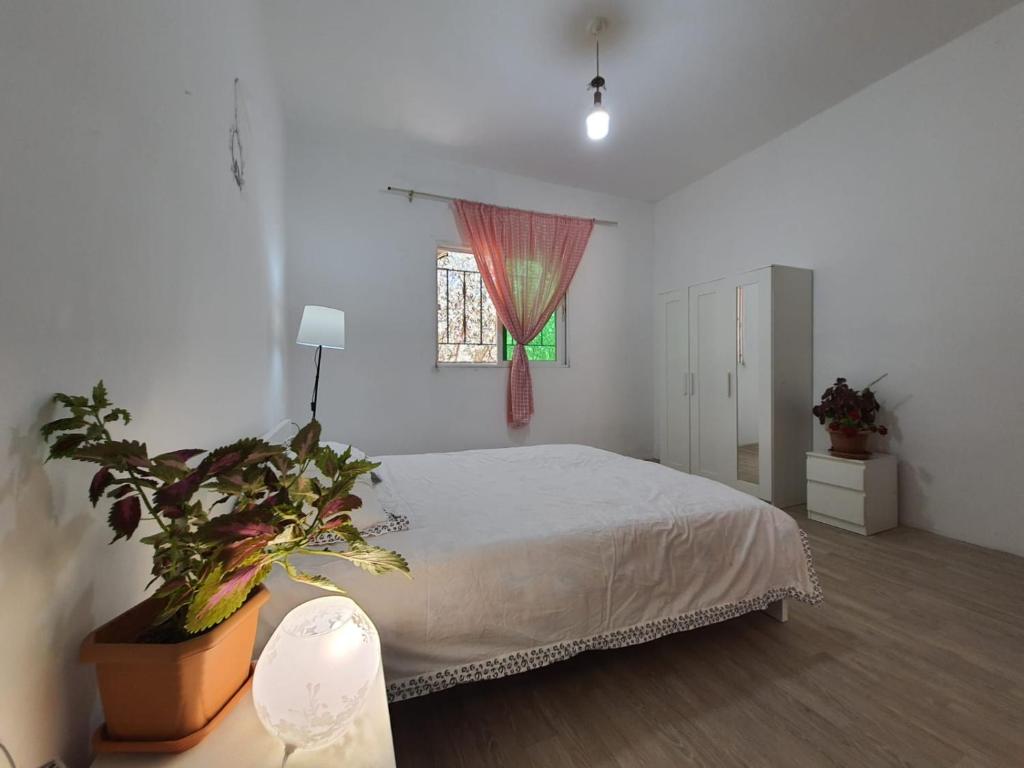 Alkarak studio的白色的卧室设有床和窗户