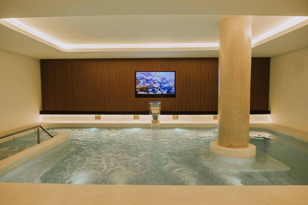 马德普拉塔雷耶斯酒店的一间酒店客房内的游泳池,配有电视