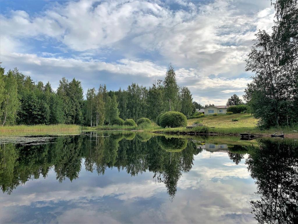 普马拉Lappalaisen lomamökit Pihamökki的天空中树木和云层的湖泊美景