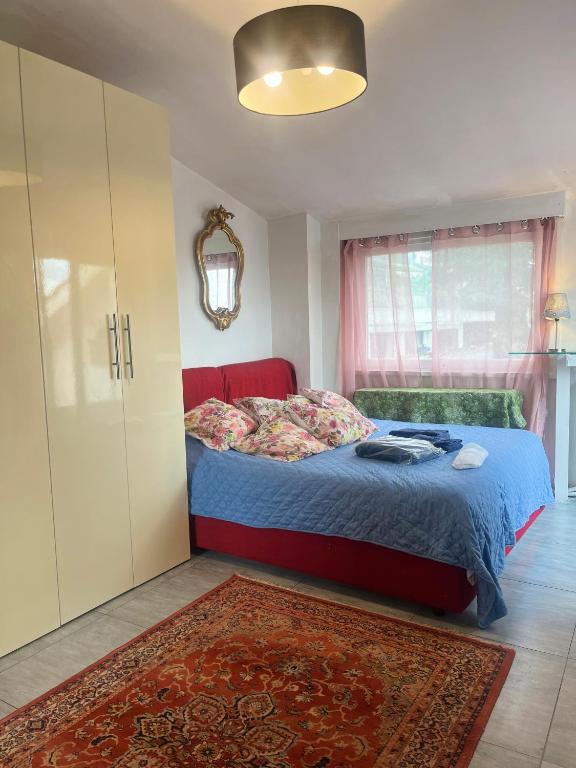 罗马Apartment in Roma with Terrace的一间卧室配有床、橱柜和地毯