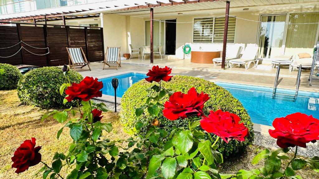 锡德Babylon Luxury Villa with Private Pool and indoor Heated Pool的一座种有红色鲜花的花园和一个游泳池