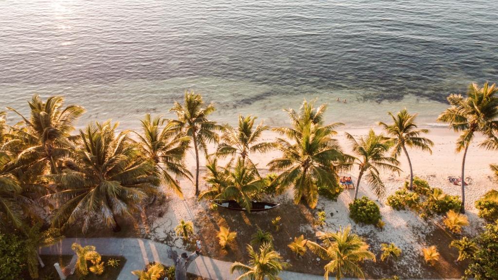 拉迪格岛拉迪格岛饭店的享有棕榈树海滩和大海的上方景色