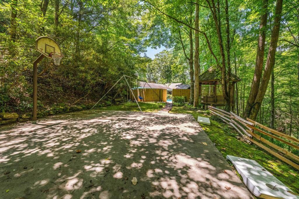 加特林堡Bourbon Hollow Lodge with Hot Tub and Pool plus Game Room only 5 min to downtown的森林中央的篮球架