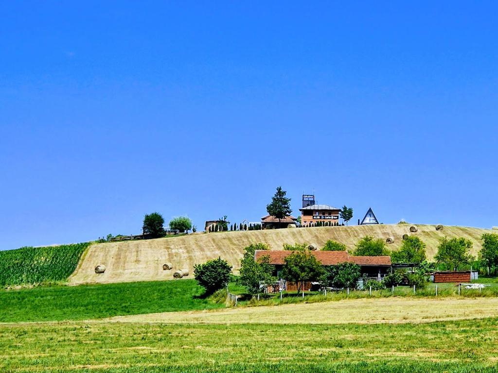PrnjavorOdmaralište Islovo Brdo的山顶上有一所房子