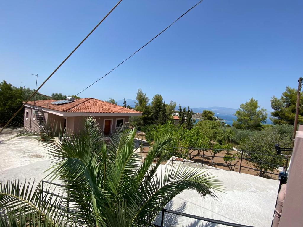 哈尔基斯Chalkida st Minas Seaview Villa的一座带围栏和棕榈树的房子