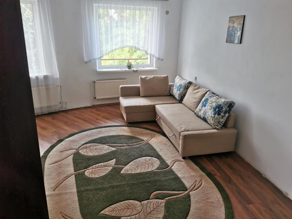格但斯克BudgetStay in Gdańsk的带沙发和地毯的客厅