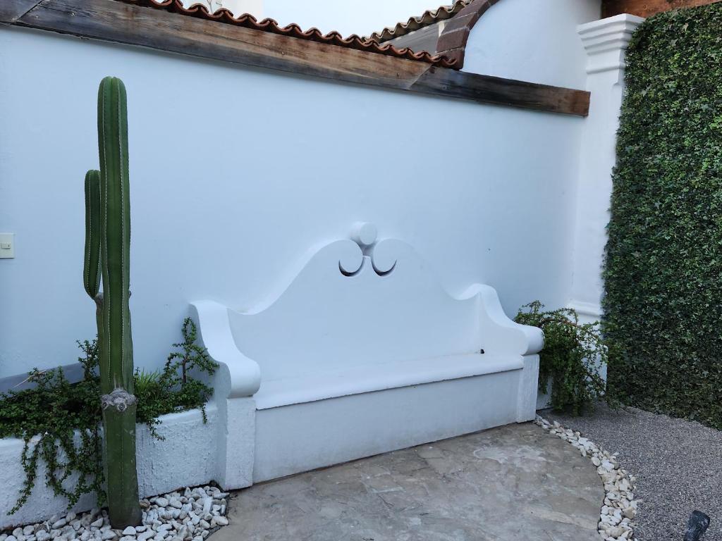 瓦哈卡市Hermosa Hacienda Las Heliconias的白色长凳,白色的墙面上,有仙人掌