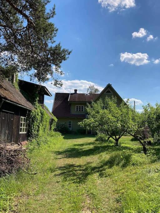 奥泰佩Cozy house in the beautiful nature of Otepää的田野上的房子,前面有一棵树