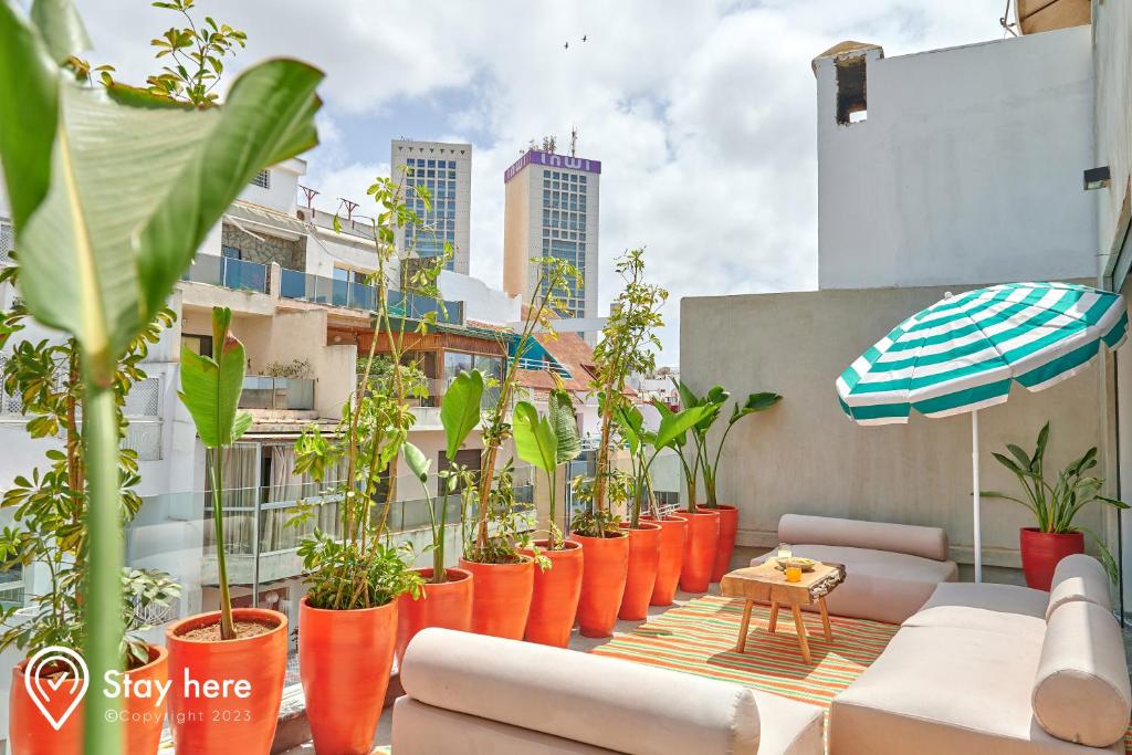 卡萨布兰卡Stayhere Casablanca - Gauthier 2 - Contemporary Residence的楼里一排橘子盆里的植物