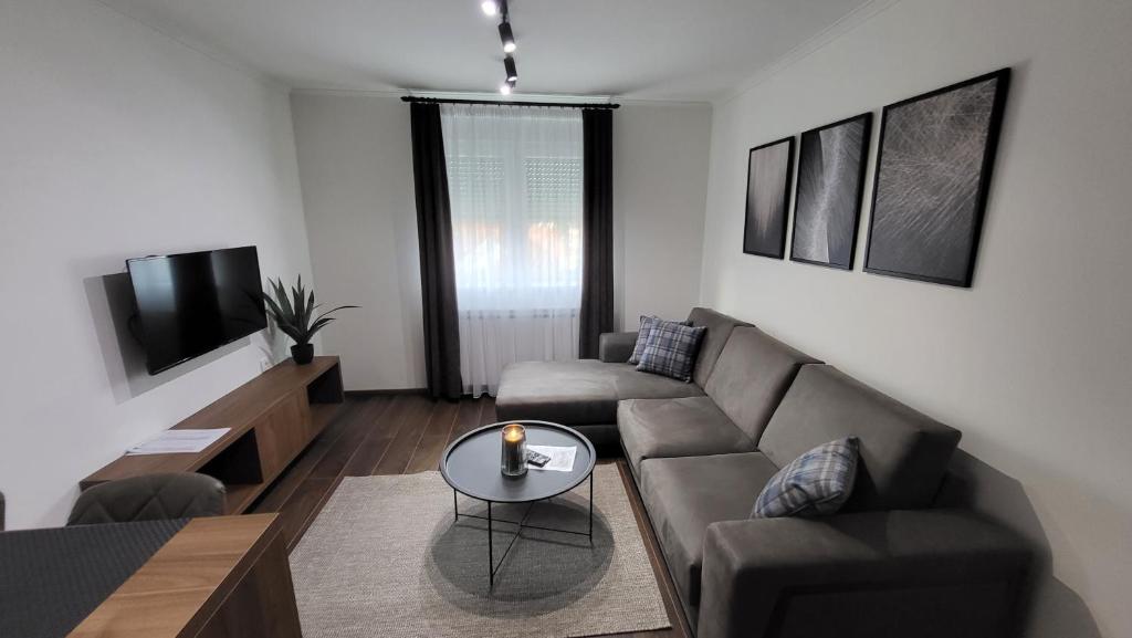 查查克Apartments Spring的客厅配有沙发和桌子