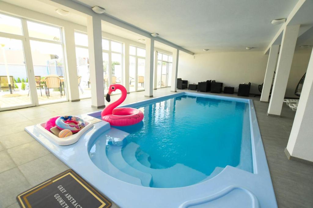 克拉多沃Olymp Apartmani的一个带天鹅和天鹅的游泳池