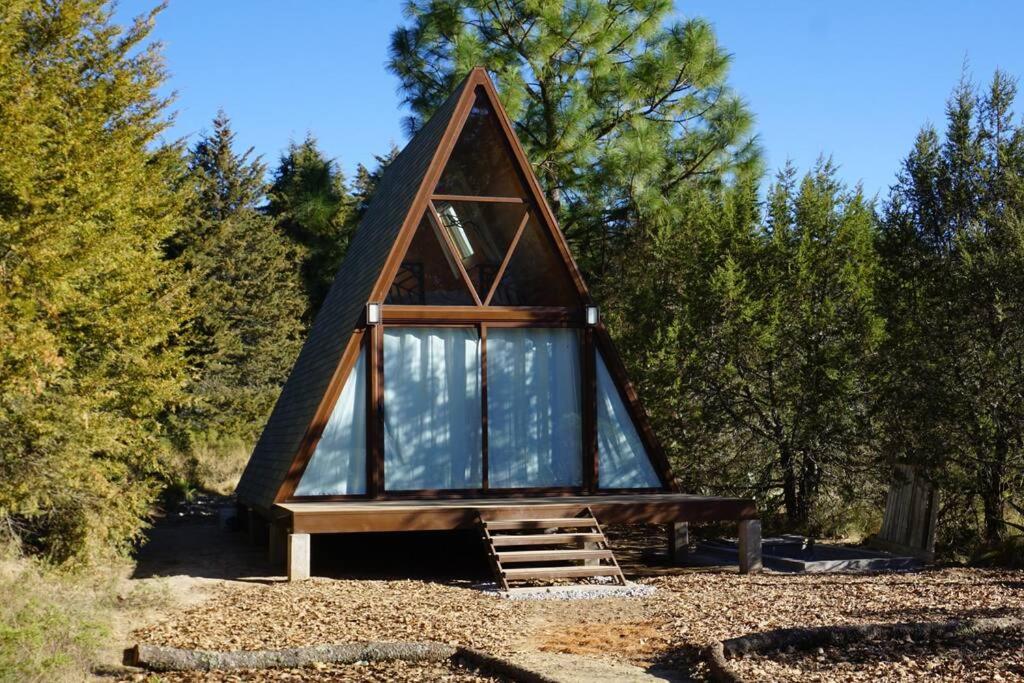 EstanzuelaCabaña A-Frame en La Estanzuela的木头上设有玻璃屋顶的小小屋