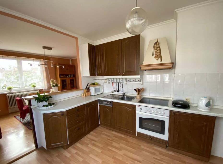 塔博尔Apartmán Pája的厨房配有木制橱柜和炉灶烤箱。