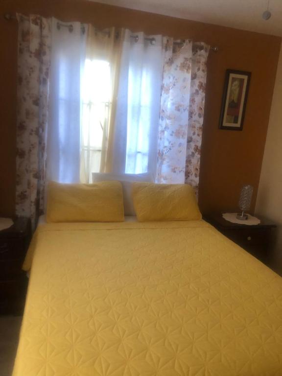 Spanish TownJ&R Sunshine Retreat的卧室里一张带黄色枕头的床,卧室里设有窗户