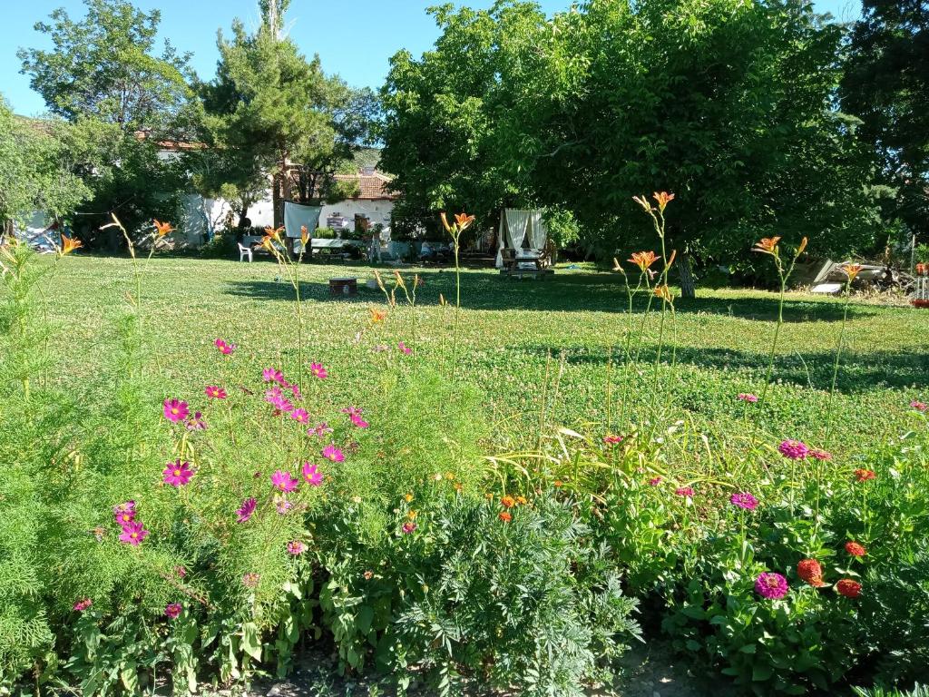 YeşilovaSalda Gölü Koca Kapı Konaklama的草上种着粉红色花的花园