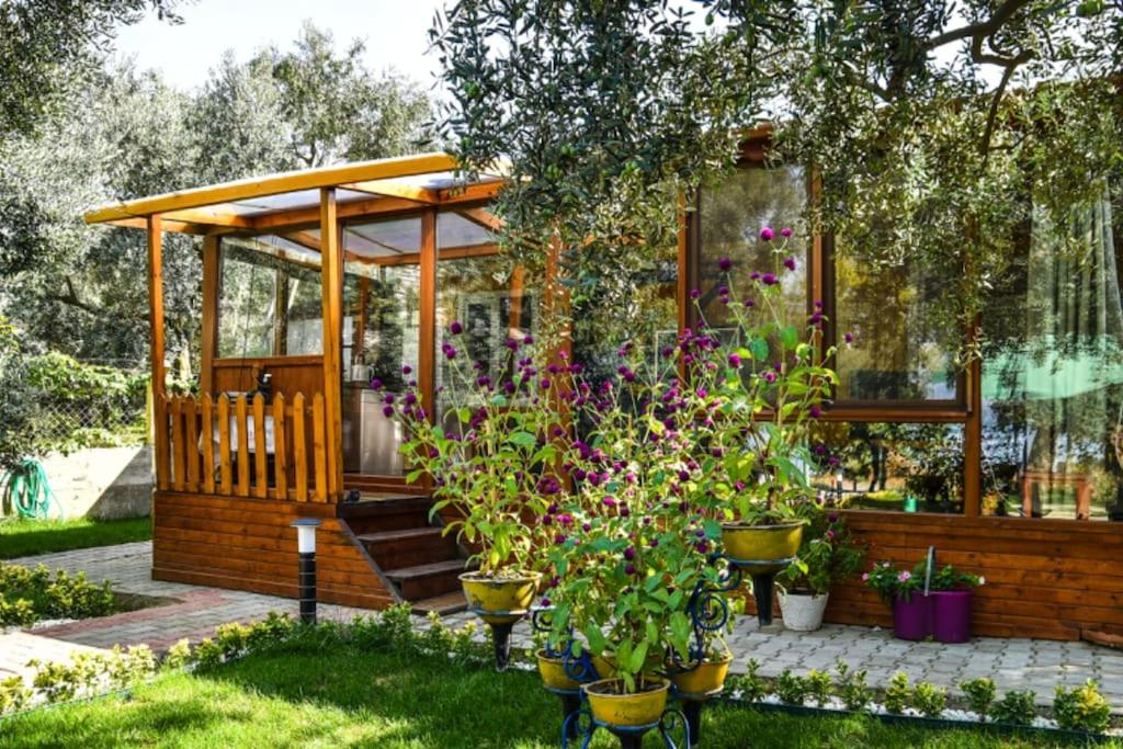 İznikTiny House Village的一个带凉亭和一些植物的花园