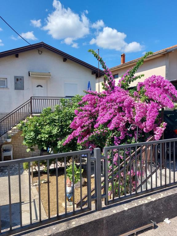 扎达尔波日克公寓酒店的房屋前方的紫色花 ⁇ 